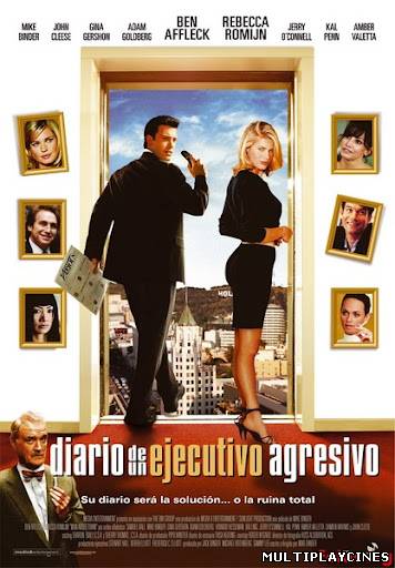 Ver Diario de un ejecutivo agresivo (2006) Online Gratis
