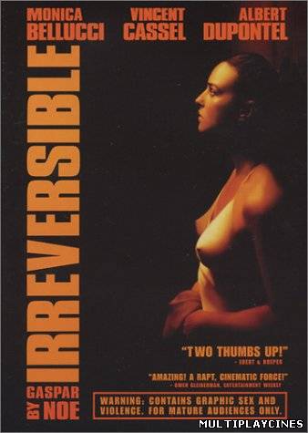 Ver Irreversible (2002) Online Gratis