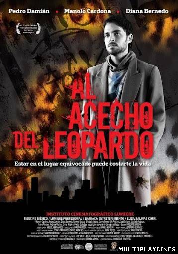 Ver Al acecho del leopardo (2011) Online Gratis