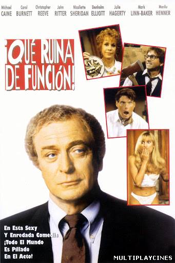 Ver Qué ruina de función (1992) Online Gratis