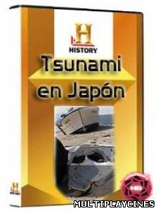 Ver Tsunami en Japon (2012) Online Gratis
