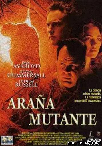 Ver Araña mutante (2001) Online Gratis