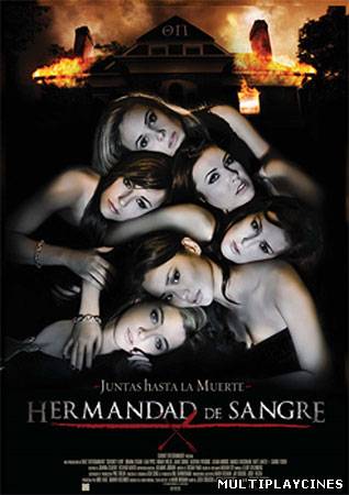 Ver Hermandad de sangre (Sorority Row) (2009) Online Gratis