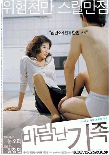Ver La mujer del abogado (La esposa del buen abogado) (2003) Online Gratis