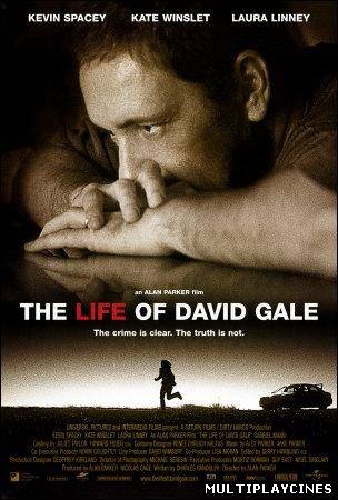 Ver La vida de David Gale (2003) Online Gratis