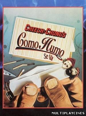 Ver Como humo se va (Up in Smoke) (AKA Cheech and Chong's Up in Smoke) (1978) Online Gratis