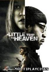 Ver Verdades ocultas (2005) Online Gratis