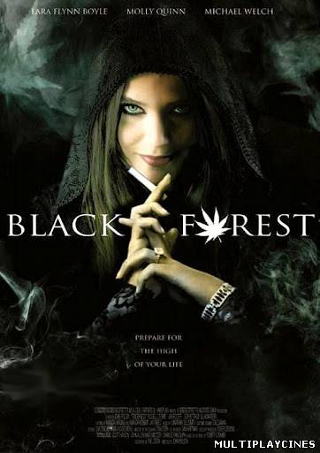 Ver Black Forest: Hansel and Gretel & the 420 Witch (2012) Online Gratis