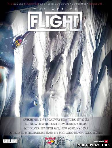 Ver The Art Of Flight (2011) Online Gratis