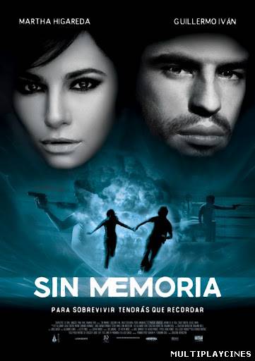 Ver Sin memoria (2011) Online Gratis