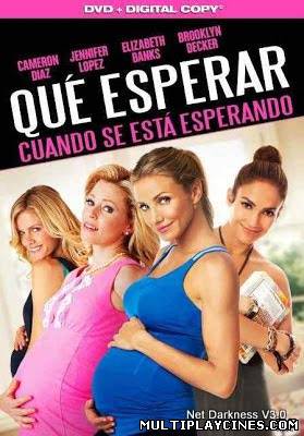 Ver Qué esperar cuando estás esperando (What to Expect When You’re Expecting) (2012) Online Gratis