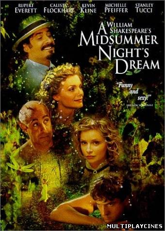 Ver El sueño de una noche de verano (1999) Online Gratis