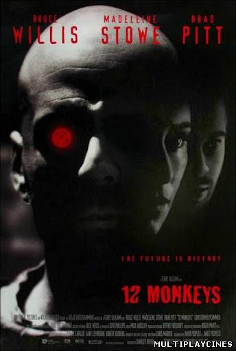 Ver Twelve Monkeys (12 monos) (1995) Online Gratis