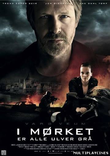 Ver Varg Veum – En la noche todos los lobos son grises (2011) Online Gratis