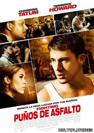 Ver Fighting:unrate (Puños De Asfalto) (2009) Online Gratis