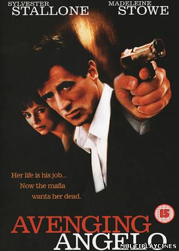 Ver El protector (2002) Online Gratis