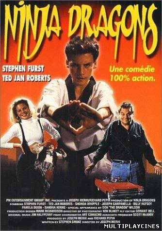 Ver Ninja dragons (1994) Online Gratis