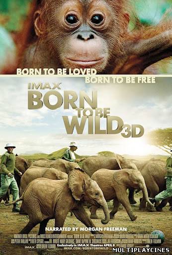 Ver Born To Be Wild (Nacidos Para Ser Libres) (2011) Online Gratis
