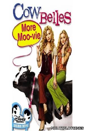 Ver Cambio de aires (2006) Online Gratis