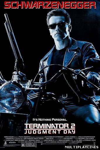 Ver Terminator 2: el juicio final (Terminator 2 Judgment Day 1991 Skynet Edition) (1991) Online Gratis