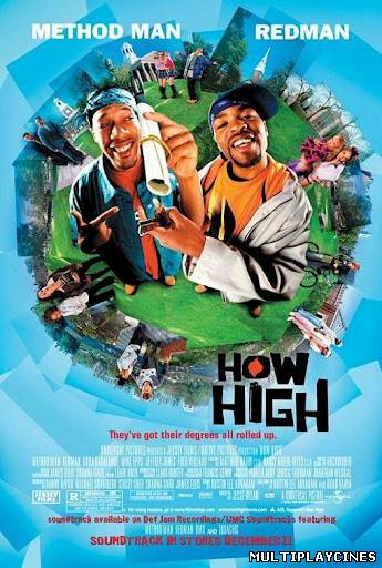 Ver Buen rollito (How High) (2001) Online Gratis