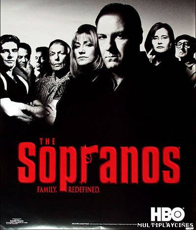 Ver Los Soprano (Serie de TV) (1999) [Temporada 1-5] Online Gratis