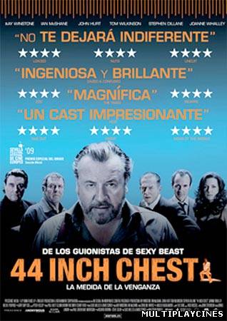 Ver La medida de la venganza (44 inch chest) (2009) Online Gratis