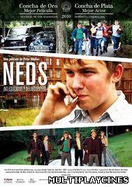 Ver Neds (No educados y delincuentes) (2010) Online Gratis
