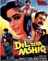 Ver Dil Tera Aashiq (1993) Online Gratis