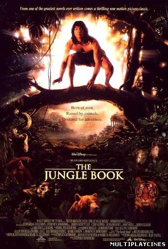 Ver El libro de la selva: la aventura continúa (Rudyard Kipling's The Jungle Book) (1994) Online Gratis