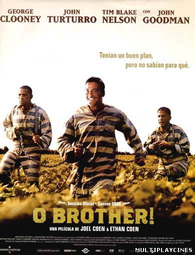 Ver O brother! (2000) Online Gratis