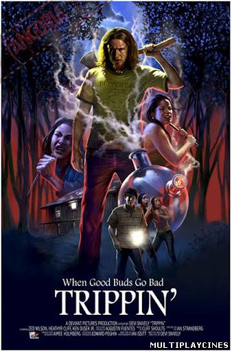 Ver Trippin (2011) Online Gratis