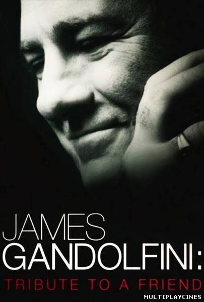Ver James Gandolfini: Tribute To A Friend (2013) Online Gratis