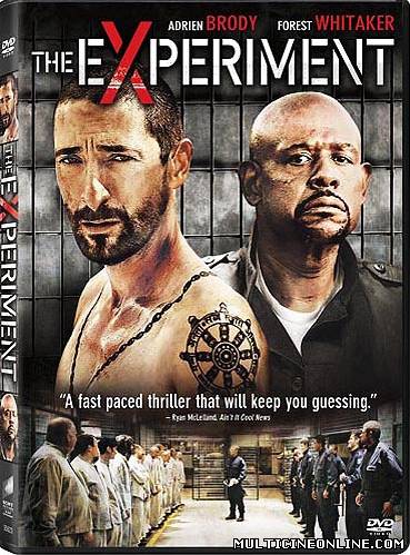 Ver El experimento (The Experiment)  (2010) Online Gratis