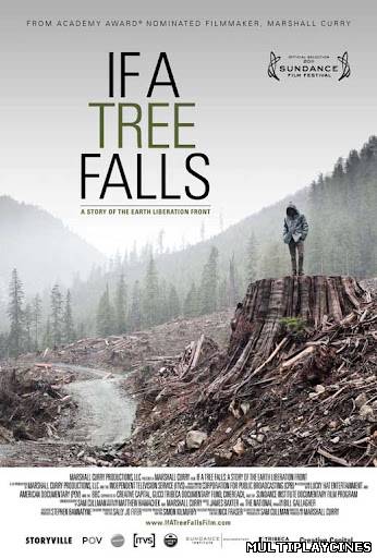 Ver If A Tree Falls: A Story Of The Earth Liberation Front (2011) Online Gratis