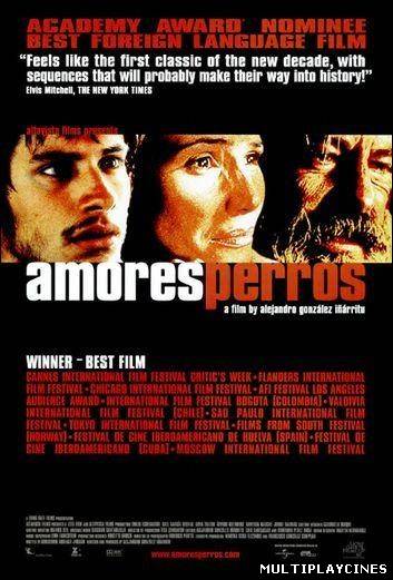 Ver Amores Perros (2000) Online Gratis