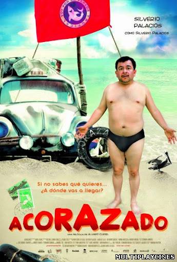 Ver Acorazado (2010) Online Gratis