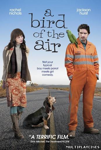 Ver The Loop (AKA A Bird of the Air) (2011) Online Gratis