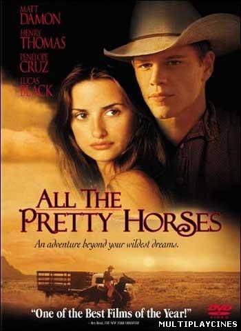 Ver Todos los caballos bellos (2000) Online Gratis