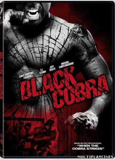 Ver When the Cobra Strikes (Black Cobra) (2012) Online Gratis