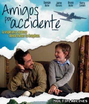 Ver Amigos por accidente (2011) Online Gratis