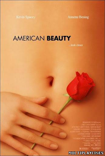 Ver Belleza Americana / American Beauty (1999) Online Gratis