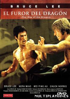 Ver El furor del dragón (1972) Online Gratis