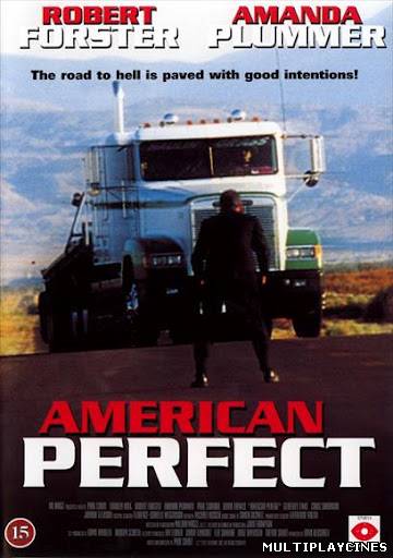 Ver American Perfekt (1997) Online Gratis