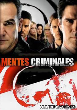 Ver Mentes Criminales (Serie de TV) (2011) [Temporada 1-4] Online Gratis
