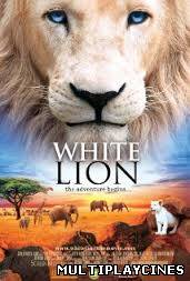 Ver White Lion (2010) online Online Gratis