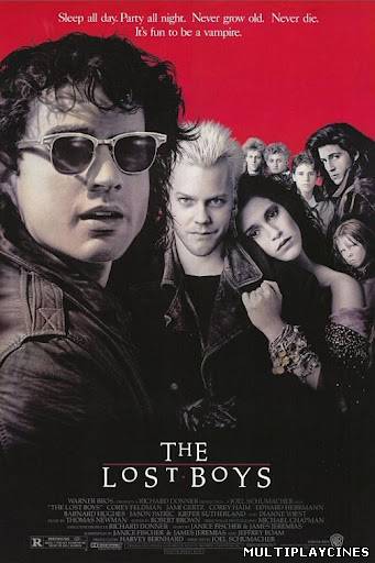 Ver The Lost Boys (1987) Online Gratis