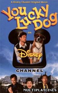 Ver Un perro con suerte (TV) (1994) Online Gratis