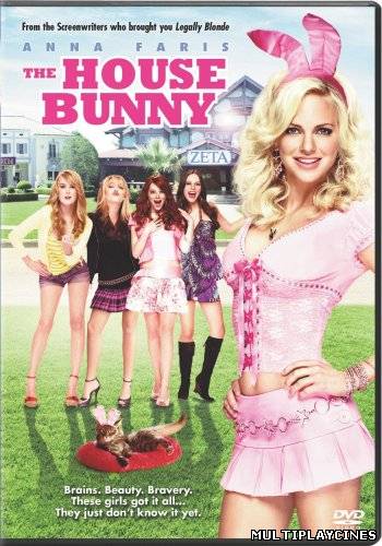 Ver The House Bunny (Una conejita en el campus) (2008) Online Gratis