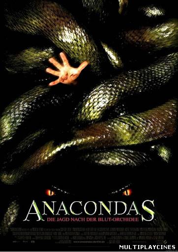 Ver Anacondas: la cacería de la orquídea sangrienta (Anaconda 2) (2004) Online Gratis